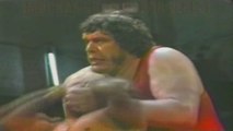 Canek, Fishman & Villano III vs André the Giant, Bam Bam Bigelow & Dr. Wagner Jr.  | UWA 04/24/1992