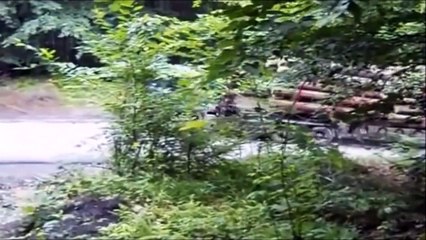 Les Conducteurs Dangereux De Mort Simulée