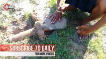 Easy Bamboo Eel Trap - Amazing Boys Catch Eel With The Bamboo Deep Hole Eel Trap