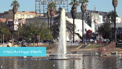 The Famous MacArthur Park in Los Angeles