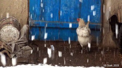 18 Ocak 2018 - Kar kış