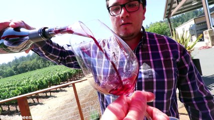 TRYING OPRAHS FAVORITE ENGLISH MUFFIN | Napa Valley, California