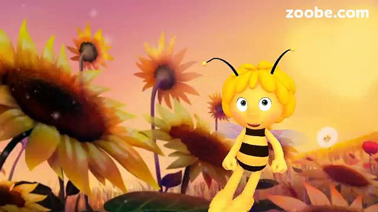 funny whats app video