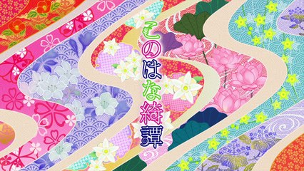 Konohana Kitan (2017) Episodio 12 online HD sub español - Animeid