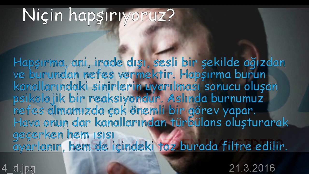 İNSANLAR NEDEN HAPŞIRIR?