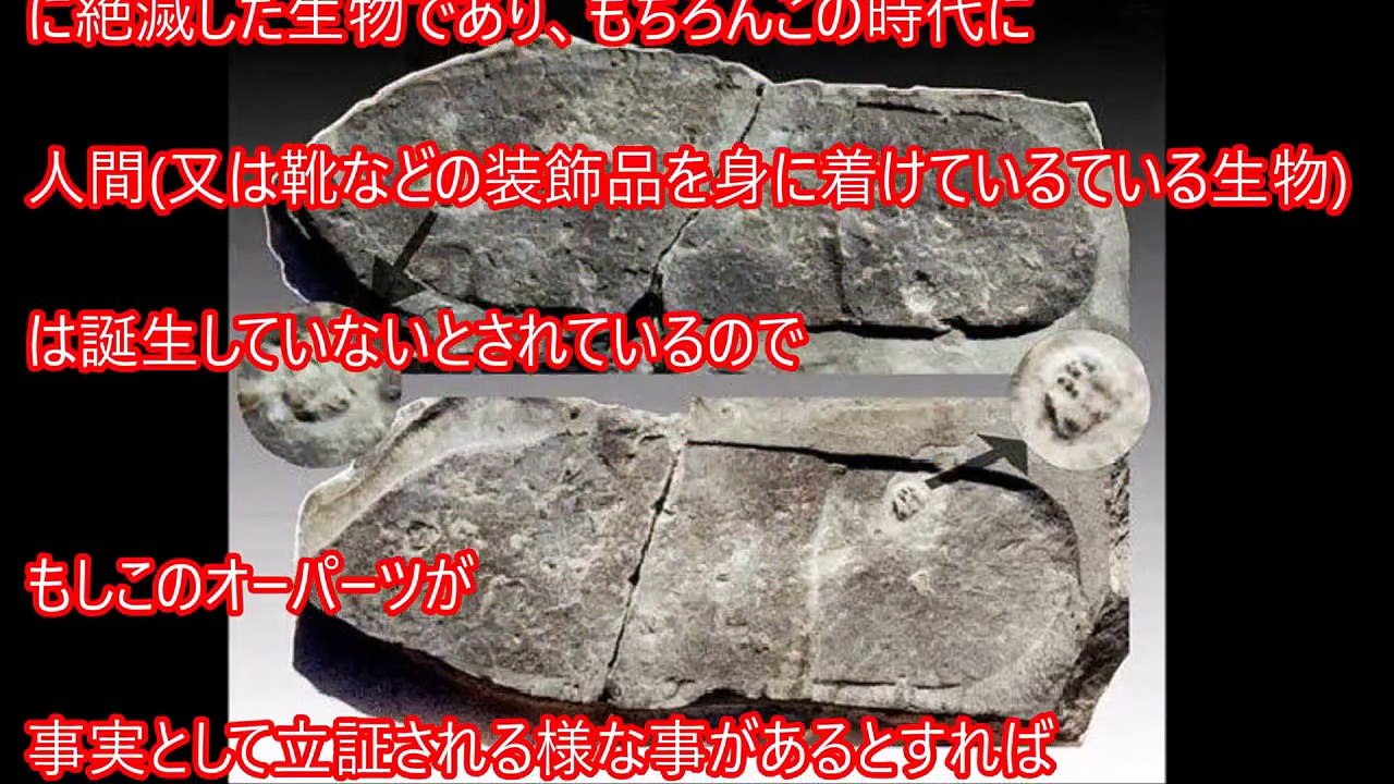 【閲覧注意】恐怖！世界が震えたミステリー 事件 未解決の謎をご紹介 まとめ64 【衝撃】