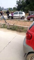 Giant Snake Causing Traffic