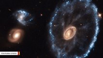 Hubble Space Telescope Spies 'Cartwheel Galaxy'