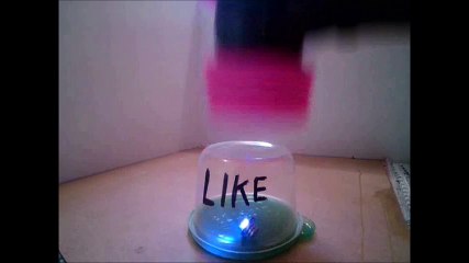 CRUSHED IT. ORANGE GOURD.