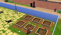 The Sims 4 - Vamos regar as plantas #2