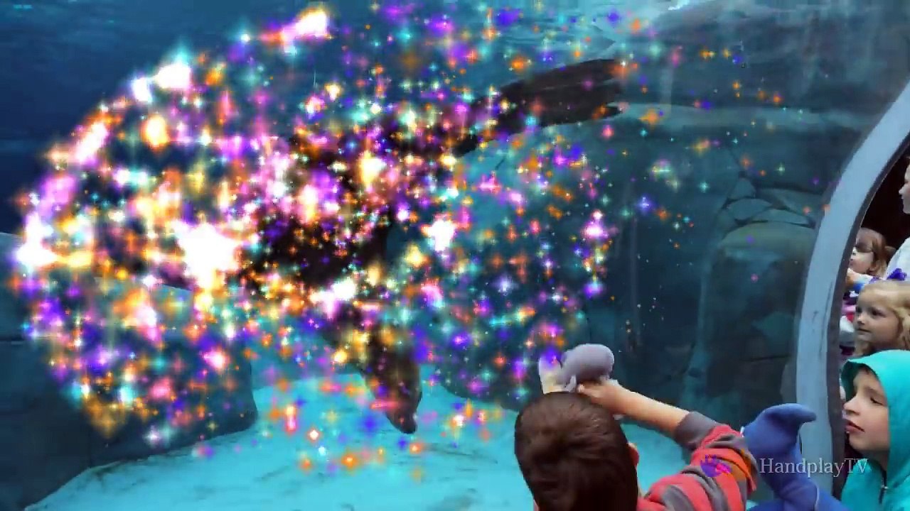 Sea Animals learn for kids | Learn Sea Animals + Water Animals Names and sounds