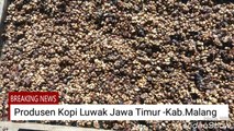 Kopi Luwak Jawa Timur | Toko Kopi Luwak WA 081 233 660 207 | Harga Top Kopi