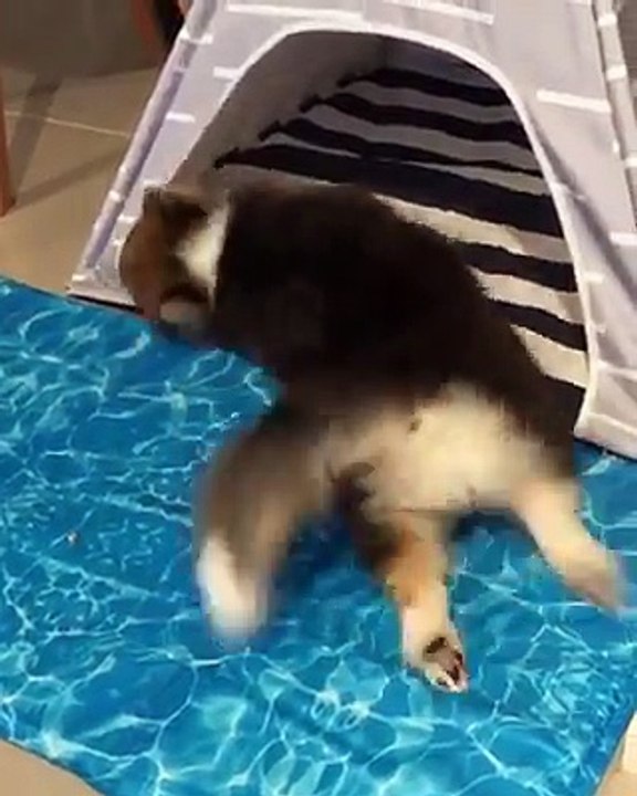 Ráng ra khỏi nhà vào ngày thứ Hai là thế này nè :'( :'(