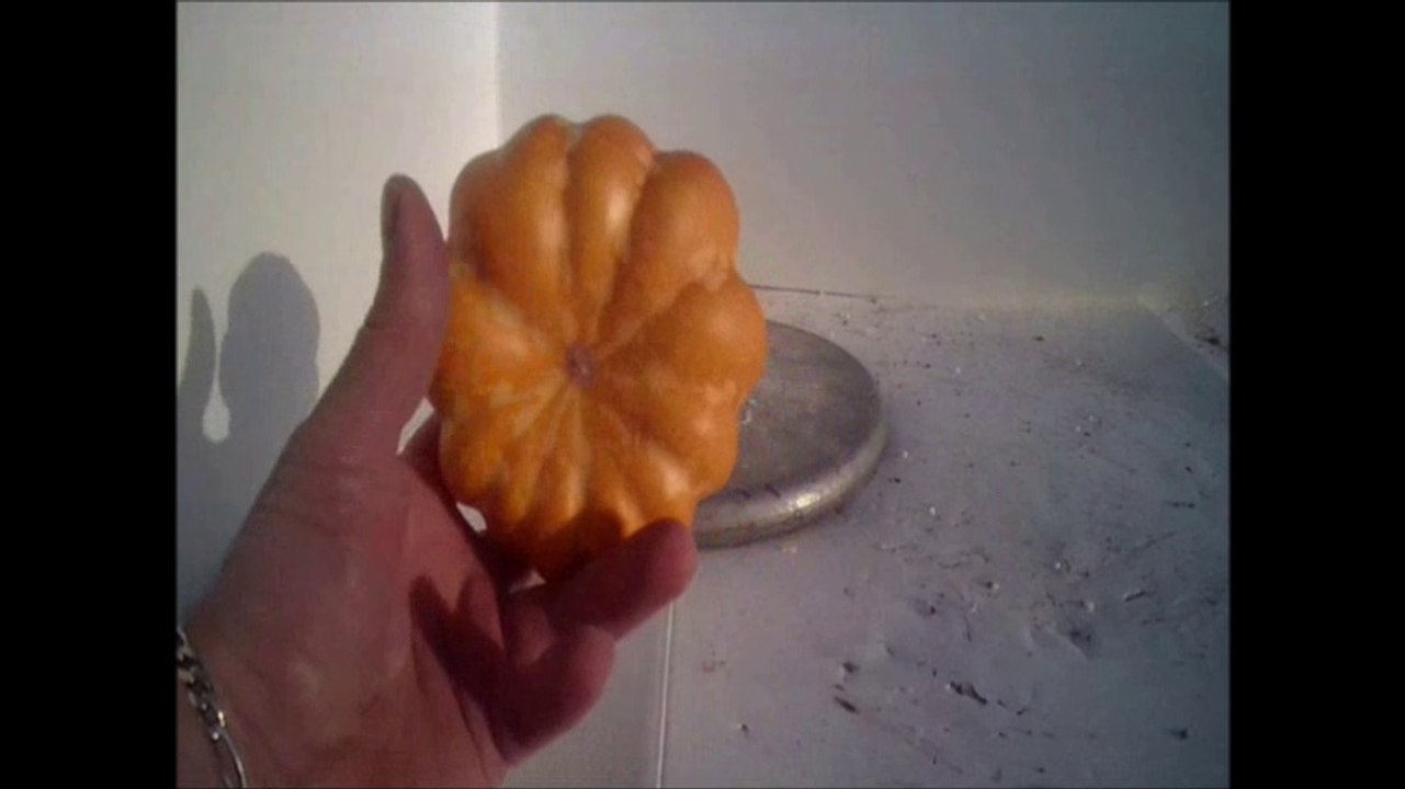 CRUSHED IT. MINI PUNKIN.