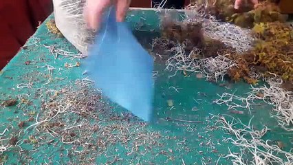 AmorFake - MAS COMPRAS PARA LOS VIDEOS VLOG 28 AMORYOUTUBER