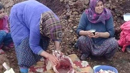 Hatay'da Yörük Çadırındaki Anneler, Mehmetçik'in Yanına Gidip Kurban Kesti