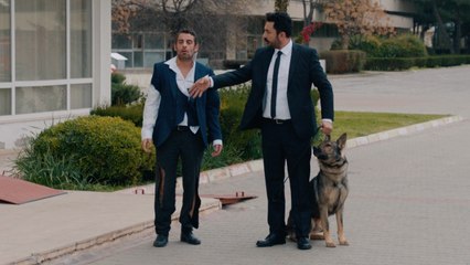 Yeni Gelin 33. Bölüm Olacakları Müjdeliyorum