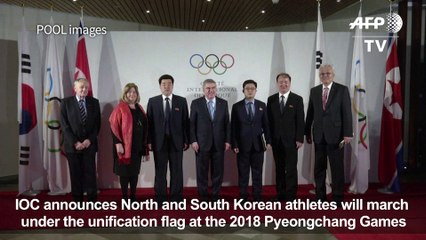 North and South Korea to march under same flag at 2018 Game-IOC
