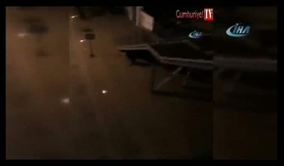 Giresun'da insanlık dışı olay... Baygın köpeğe yaptığı canlı yayına takıldı