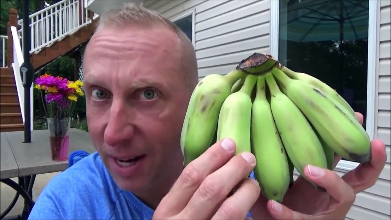 Bad Baby Compilation Victoria Annabelle Eating Freaky Dragon Fruit Challenge Toy Freak Family