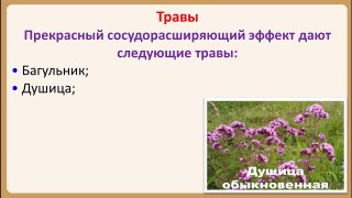 Народные сосудорасширяющие препараты при гипертонии