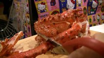 Alaskan King Crab | Spider Crab : ASMR / Mukbang ( Eating Sounds )