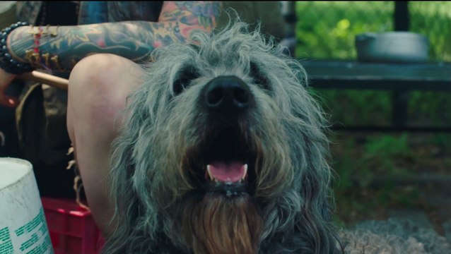 (New) High Maintenance Globo (Watch Online)