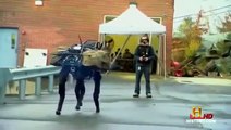 American Top Secret Killer Terminator Robots for Future US Military Army (Full Documentary)