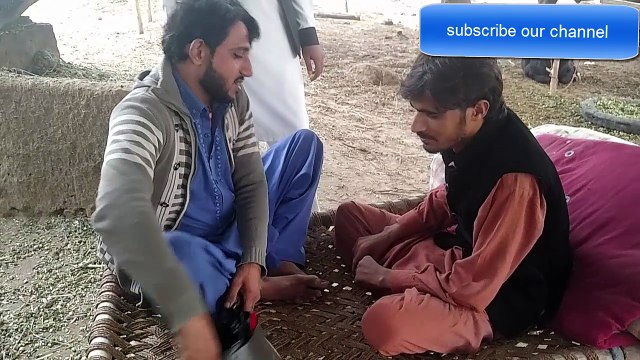 Boy Ka Donkey Ky Sath Pyar Or Ishaq || Best Funny Video 2018 || Donkey Funny Video || Animals funny Video 2018 || izhar e Muhabbat || Funny Video || whats app Funny Video || Pyar Or Muhabbat Video || Funny Pranks and Fails