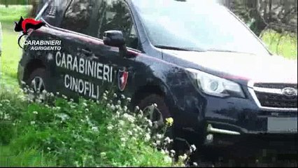 Maxi blitz nell’agrigentino, 56 arresti