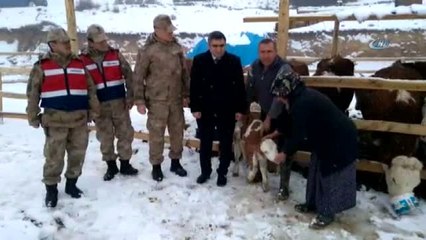 Çalınan 5 Hayvan, 7 Tane Olarak Geri Döndü