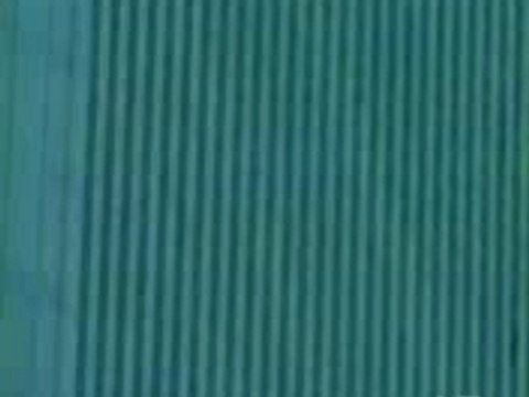 Suicide Du World Trade Center (11 Septembre 2001)