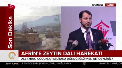 Zeytin Dalı Harekatı