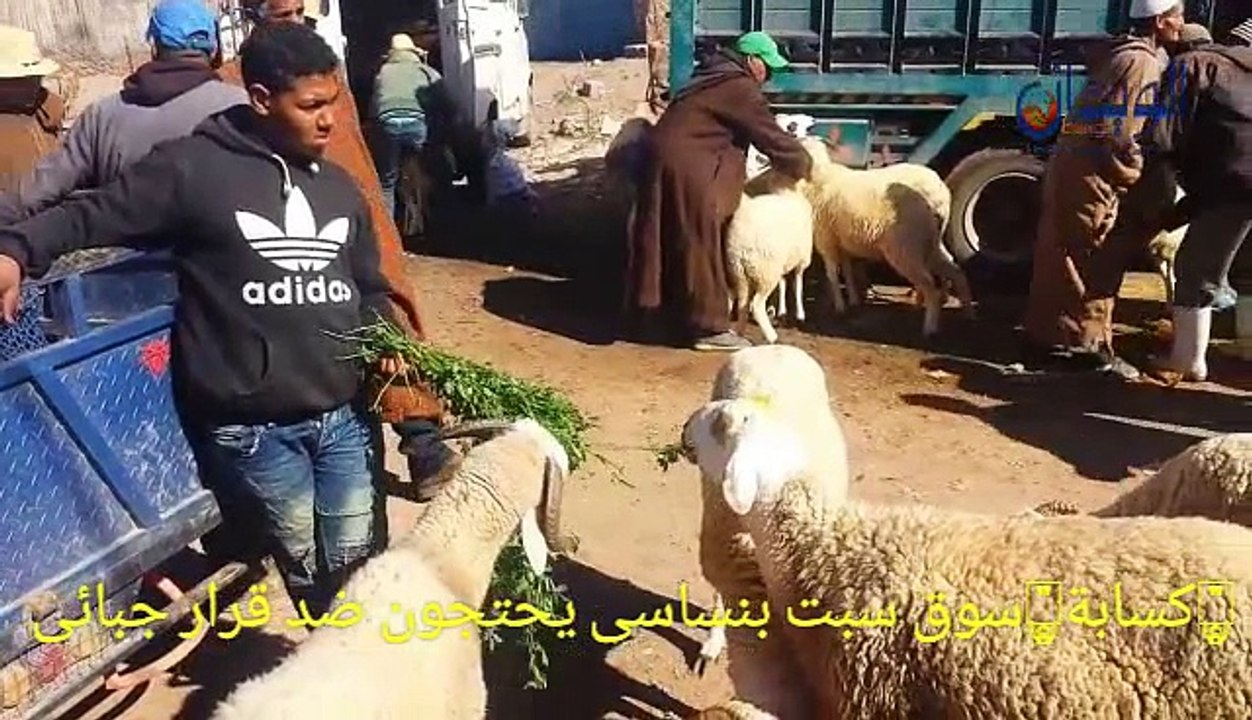 كسّابة سوق سبت بن ساسي يحتجون ضد قرار جبائي باولاد حسون
