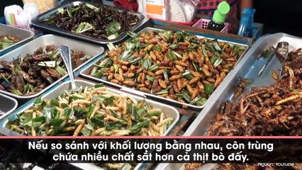 Có thể bạn không muốn nhưng trong tương lai côn trùng là nguồn thực phẩm chính