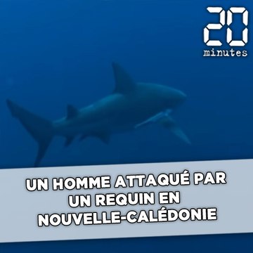 Un homme attaqué par un requin en Nouvelle-Calédonie