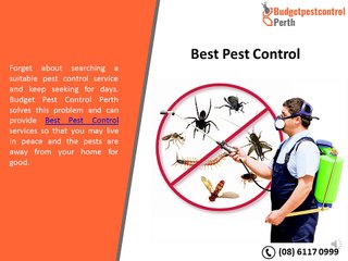 Budget Pest Control Perth, WA