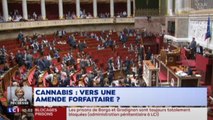 [Zap Actu] La consommation de cannabis bientôt passible d'une simple amende (22/01/2018)