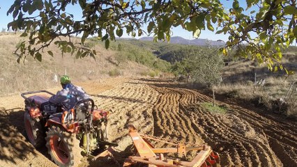 Agria 8980 | Sowing oats and rye with towed harrow