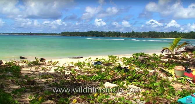 Andaman & Nicobar Islands - India's jewel in the Bay