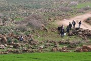 Hatay'da Sınır Karakolu Yakınlarına Roket Düştü