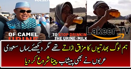Saudi People Drinking Camel Urine For Good Health