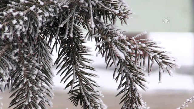 Doğu Anadolu'da soğuk hava ve kar - KARS