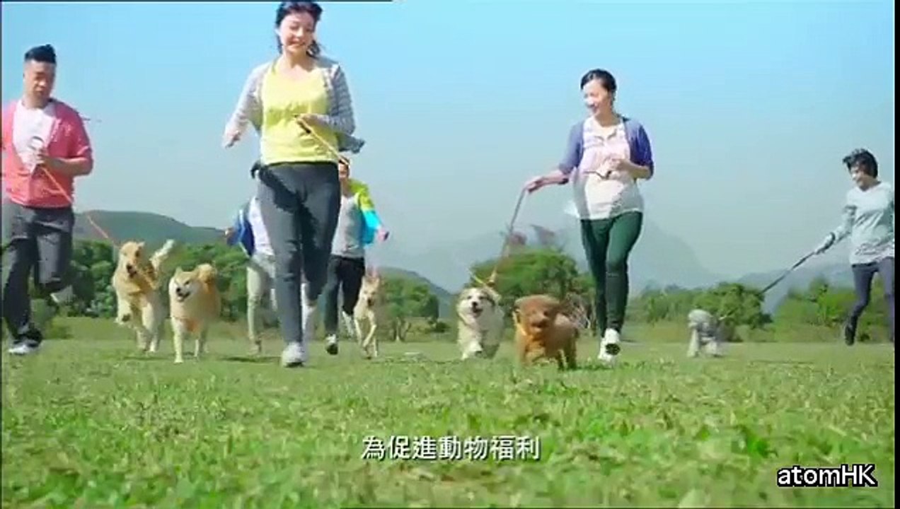 促進動物福利 加強規管動物售賣 領養是完美選擇 | 漁農自然護理署