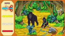 Go Diego Go! - Diegos Fiercest Animal Rescues