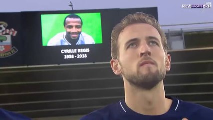 Southampton vs Tottenham 1-1 All Goals & Highlights 21-01-2018