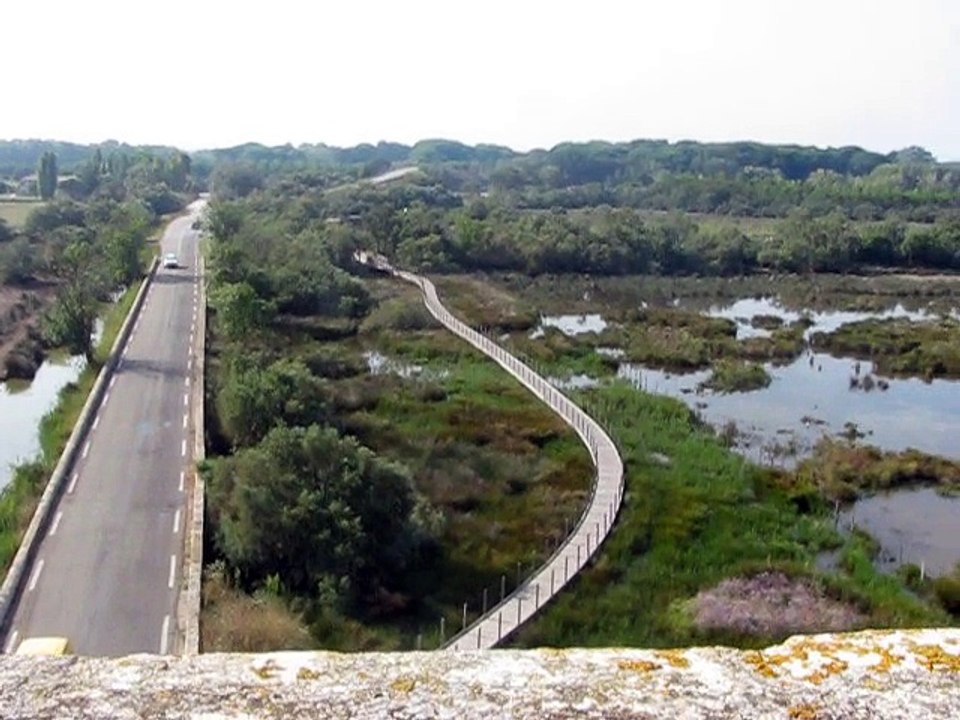 Tour Carbonnière (4)