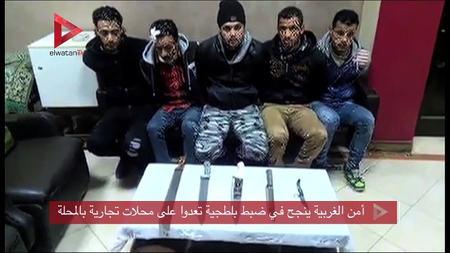 أمن الغربية ينجح في ضبط بلطجية تعدوا على محلات تجارية بالمحلة