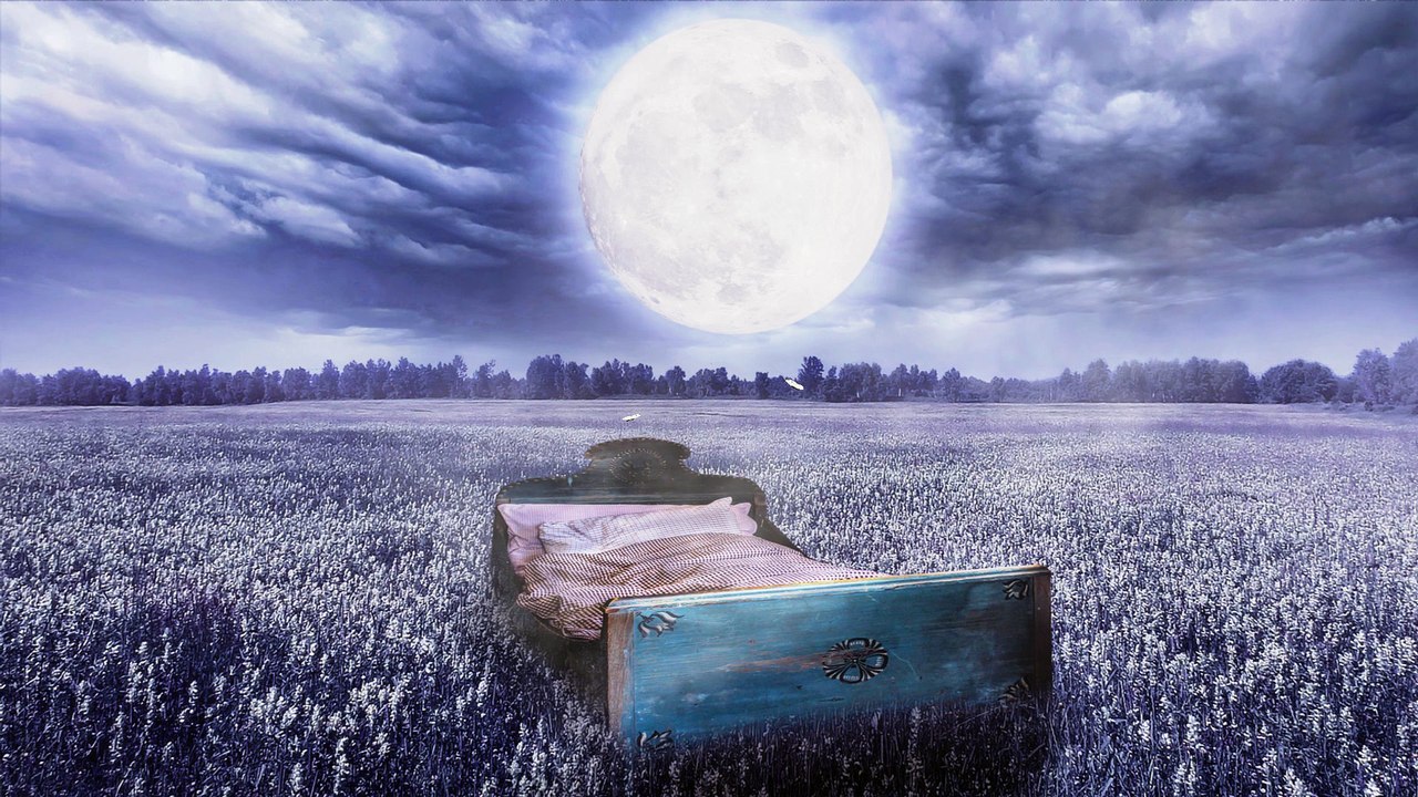Fantasy Bed in the Moonlight Animation