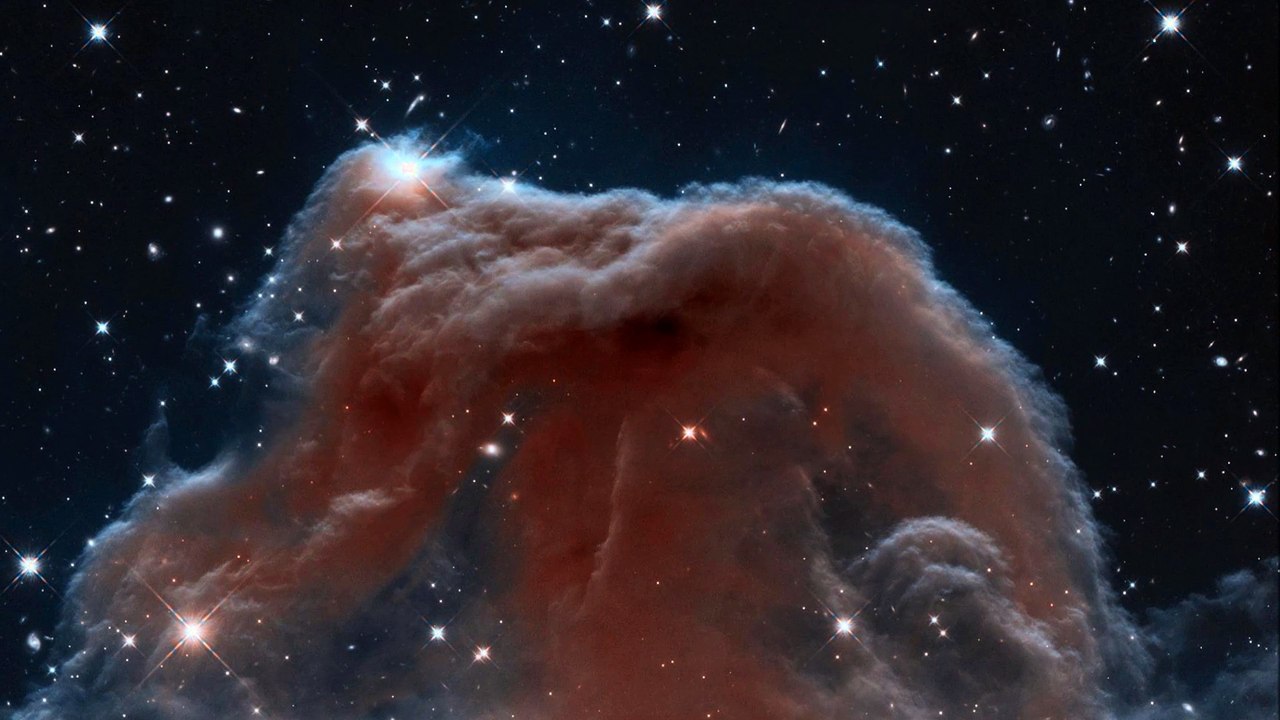 Space Nebula Looks Like a Pink Seahorse